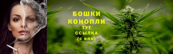 дурь Лабытнанги