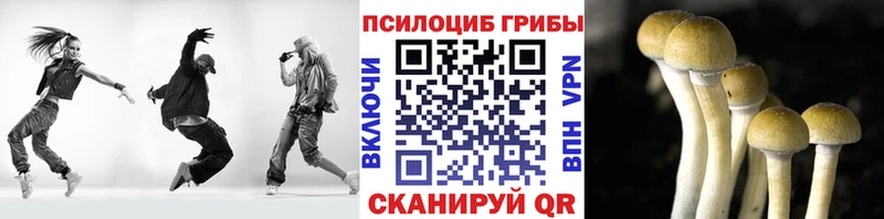 Галлюциногенные грибы MAGIC MUSHROOMS  кракен вход  Слюдянка  где продают наркотики 